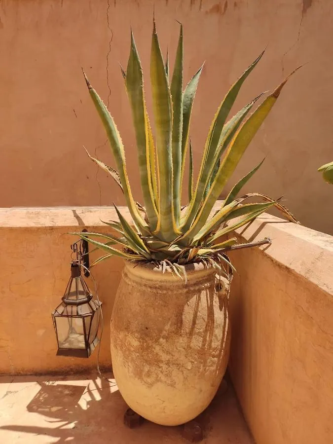 Holiday home Dar Sekaya Villa Marrakesh